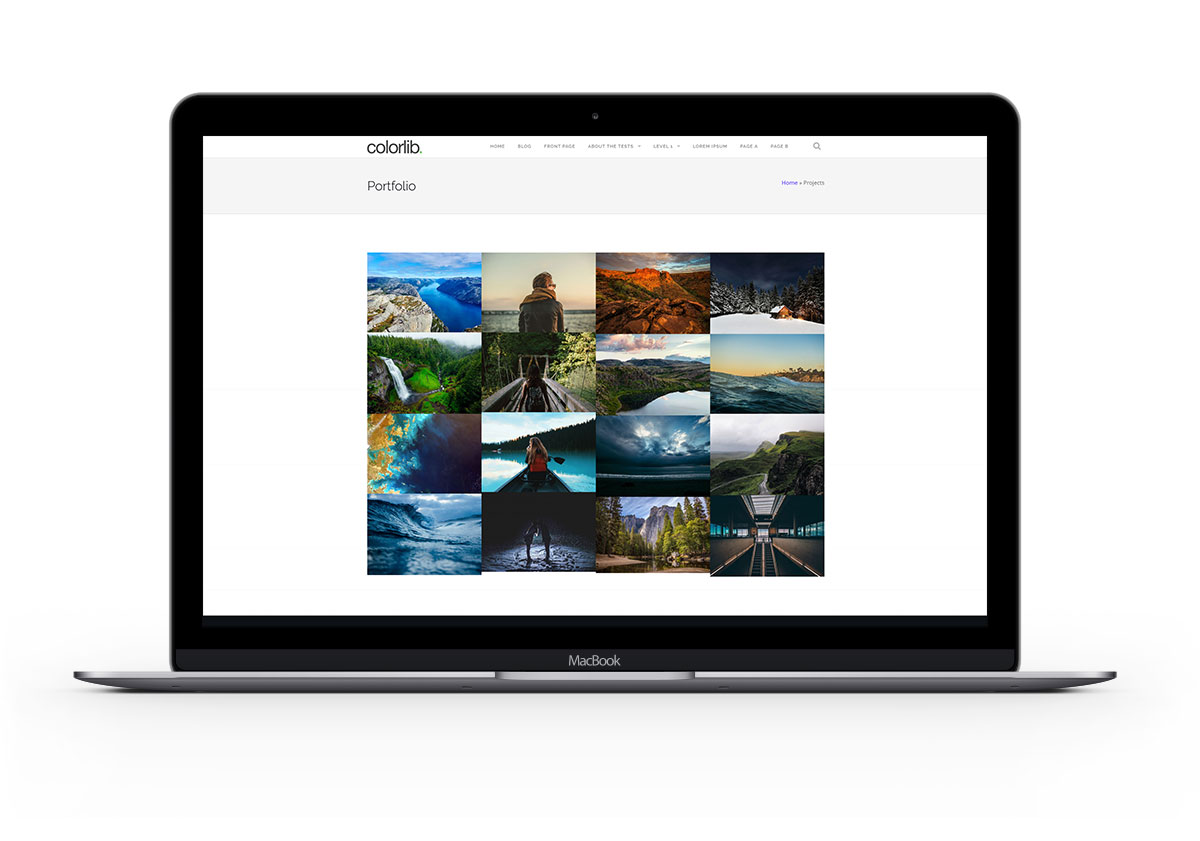 Portfolio Section